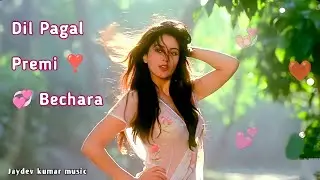 Dil Pagal Premi Bechara❣️((Sad Song))💘 | 90s Bollywood New Heart Touching Hindi Song 