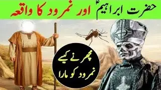 How a mosquito killed Nimrod / Islamic History