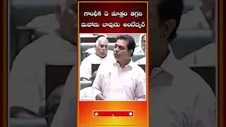 గాంధీ లెక్కనే అంబేద్కర్ | Minister KTR About Ambedkar | Telangana Assembly #ktr #shorts #ambedkar