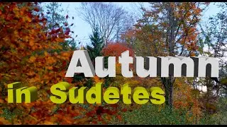 The Sudetes Witnessing the Autumn Rebirth of Czechia's Borderlands | 🇨🇿 Czech Republic