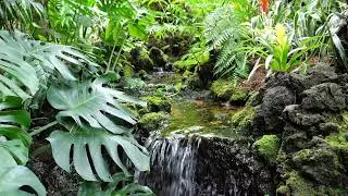 Peaceful Relax Music for Sleep, Anxiety Relief & Focus - ashok.k relaxing time