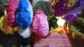 Bunga Aneka ragam Warna Tanaman Memberi Ada Bagaimana