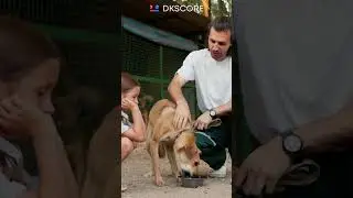 Feeding Animals #DKSCORE #animals #feed #karma #planets #astrology #facts