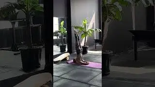 Flexibility Easy Stretch Yoga Flow #yoga #flexibility #shorts