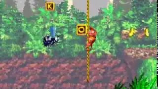 Donkey Kong Country (GBA) - Vine Valley - Forest Frenzy