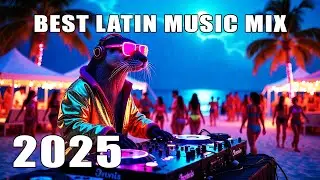 Summer Night Reggaeton 2025 🎶 Latin EDM Beach Vibes 🔥
