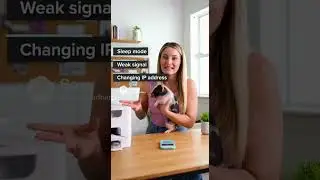 Почему принтеры с поддержкой Wi-Fi постоянно отключаются?