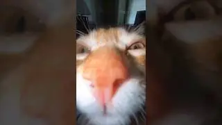 Снимаю видео до актива день 1