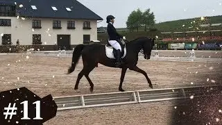 Переволновался!!! 70.8% Тест FEI для 5 летних лошадей. Вента-Арена Санкт-Петербург 15.06.2019