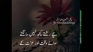 2 lines urdu poetry whatsapp status || Heart touching lines in urdu