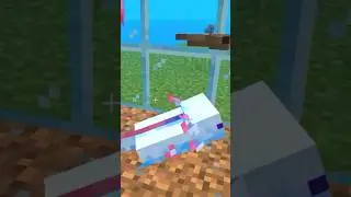 Sensor in Mob