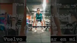 volvistee 🔥🔥🔥