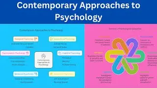 Contemporary Approaches to Psychology: An Overview