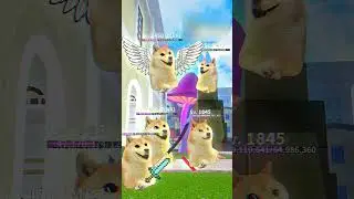 11 Followers💀💀💀 Bloxfruit | Doge Plays Game #bloxfruits