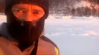 -37С