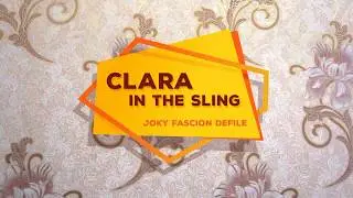 Котенок Клара в слинге. Kitten Clara in the sling.