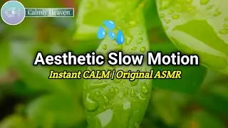 Aesthetic Slow Motion Collection for Calm & Original Natural Sound Relief