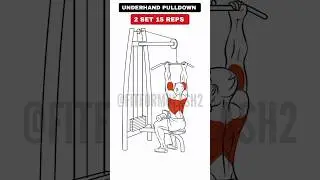 Build WIDE back With These 6 Exercises!! #wideback