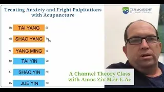 Anxiety & Fright Palpitations: Acupuncture Channel Theory Class with Amos Ziv M.sc L.Ac
