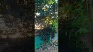 motivational islamic song #answer #duet #nature #naturesvoice #food #travel #music #love #automobile
