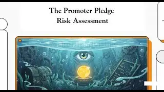 The Promoter Pledge Risk Assessment
