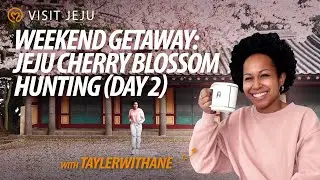 Weekend Getaway: Jeju Cherry Blossom Hunting(Day2)