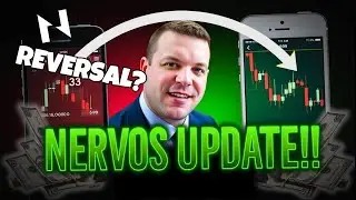 Crucial Insights into Nervos Network CKB You Need to Know NOW