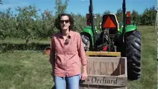 Picking apples and talking German food