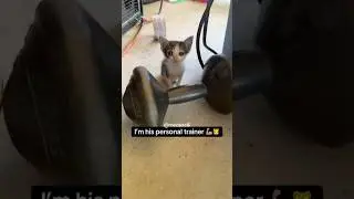I Tried To Train Coco 😭