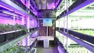 Acopia Harvest