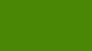Dark Forest Green Screen (Moss) - 1 Hour Cottagecore Aesthetic