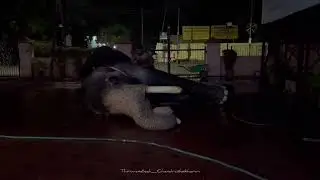 മഹേഷും ചന്ദ്രുവും സുമേഷിനെ കണ്ടു. Thiruvambadi Chandrashekharan