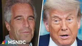 &lsquo;Massive global cover-up&rsquo;: Oversight Cmte. member speaks out on Epstein fallout