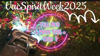 Crunchy Mess Test ● Full Rug ● 💚 Shark 🦈 ● Day 7 #VacSpiritWeek2025 I ASMR Vacuuming 