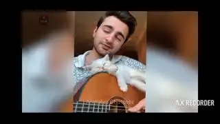 Momentos divertidos de la mascotas #cat #viral #viralvideo 