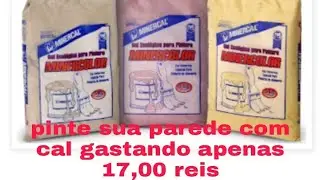 como pintar uma parede com cal r&aacute;pido e f&aacute;cil e gastando muito pouco