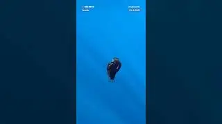 Researchers in Spain record an adult abyssal anglerfish off the coast of Tenerife.