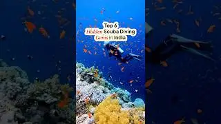 Top 6 Hidden Scuba Diving Gems in India | Unexplored Underwater Destinations