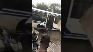 Image insolite &agrave; Dakar