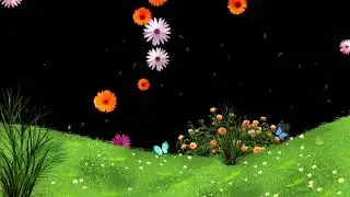 Colorfull Flower Rain Free Download No Copyright