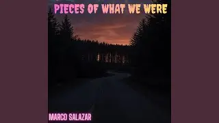 Pieces of What We Were