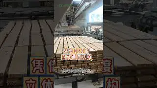 Fully Automatic Wood Timber Stacking Machine For Wood Drying Machine | Wood Kiln