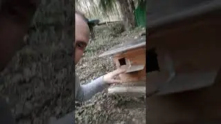 Casetta nido per allocchi realizzata con scatola dei vini #animali #natura #faidate
