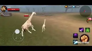 Giraffe Vs hyena/Giraffe Vs lion/Giraffe Vs leopard.