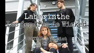 Labyrinthe : Les Cendres de Wicked - GOTROM & la Mint