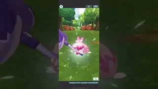 Pok&eacute;mon Masters EX: Poppy Pok&eacute; Fair Scout