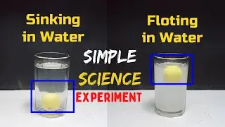 Amazing Lemon Salt Science Experiment #shorts