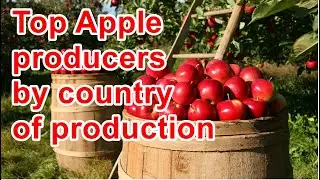 Top apple producer countries