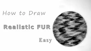 How to Draw Realistic Fur easy (2025)