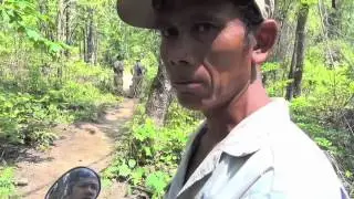 Rural Cambodians Angry Over Massive Logging Operations